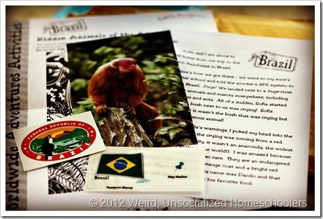 Little Passports Brazil
