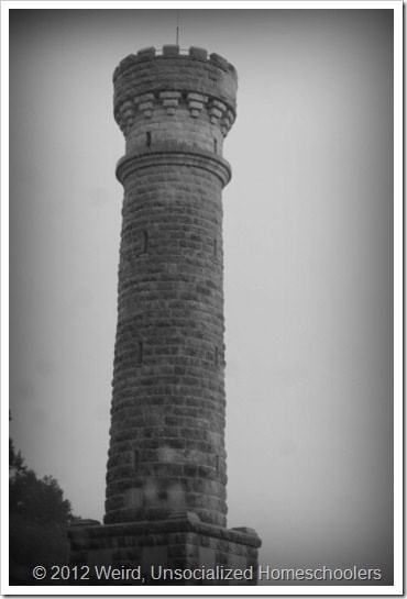 Wilder Tower Wilder Tower