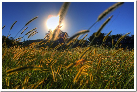 fresh air and sunshine