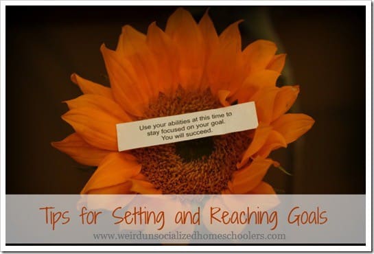 Tips for Setting and Reaching Goals Tips for Setting and Reaching Goals
