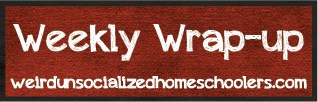 http://www.weirdunsocializedhomeschoolers.com/weekly-wrap-up-the-first-one-of-2014/