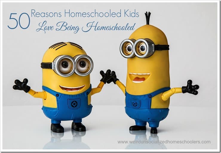 Learn why kids love being homeschooled - from the kids themselves!