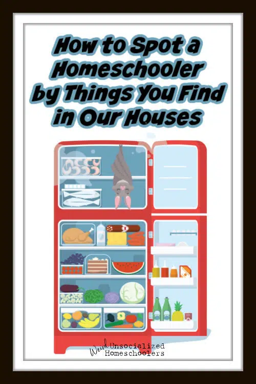 how to spot a homeschooler