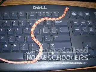 DSCN2101