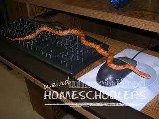 DSCN3548