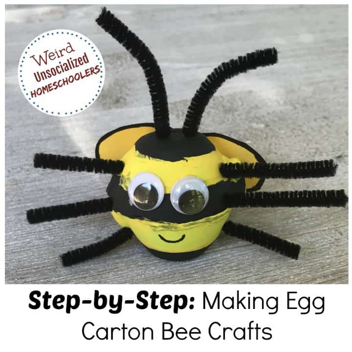 Step-by-Step: Making Egg Carton Bee Crafts