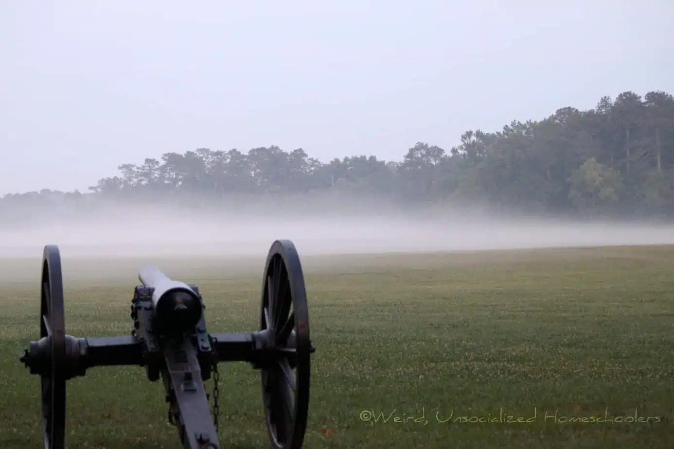 Fog and canon