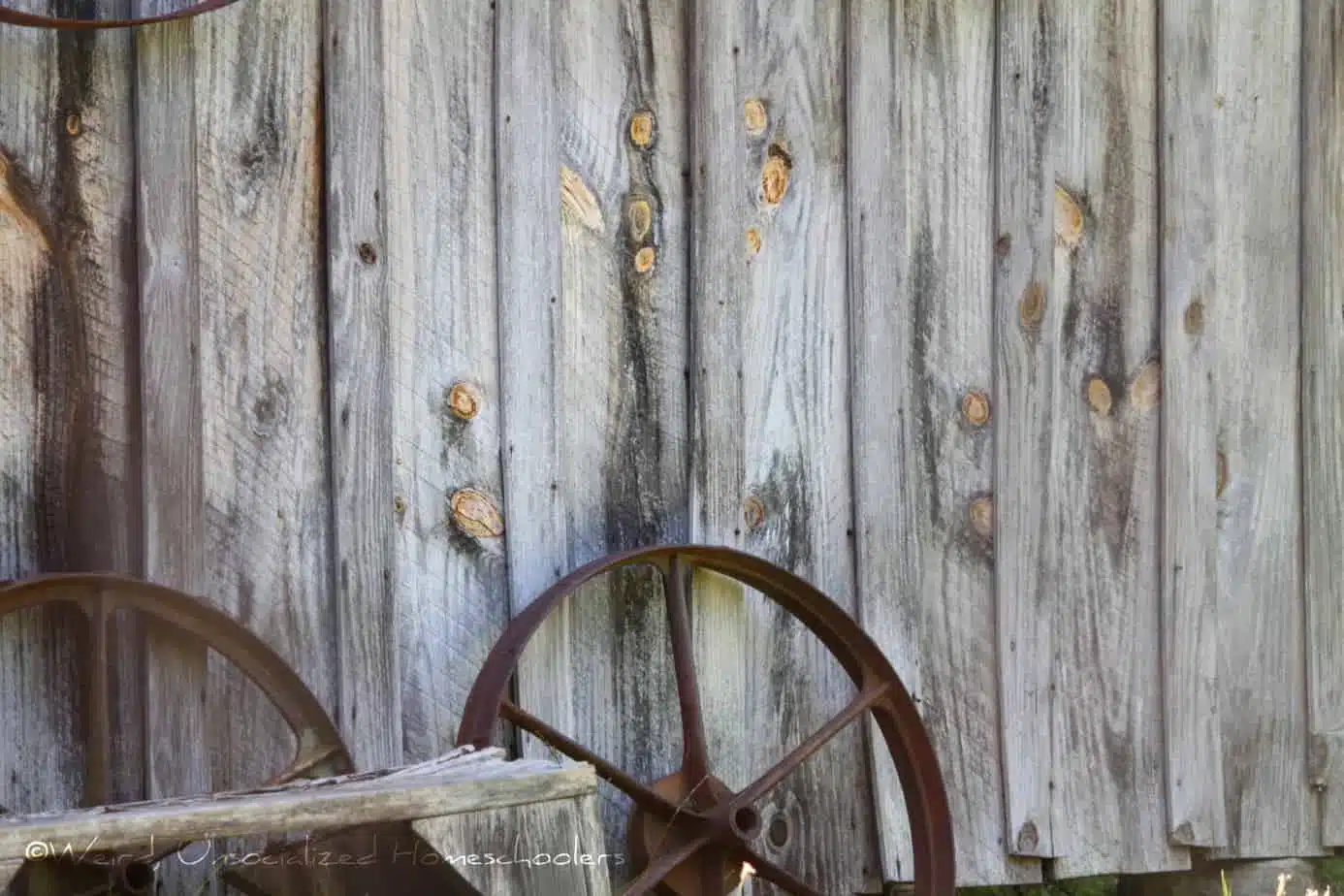 The Barn