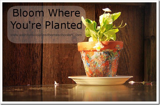 Bloom Where You're Planted - Weird, Unsocialized Homeschoolers