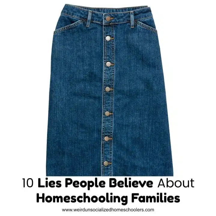 10 Lies People Believe About Homeschooling Families