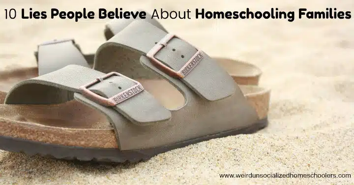 lies people believe about homeschooling