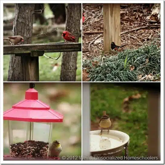 03.25.13 Collage 03.25.13 Collage