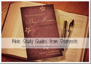 New Bible Study Guides from Doorposts! (Giveaway)