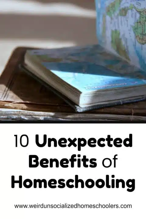 Unexpected Benefits of Homeschooling 