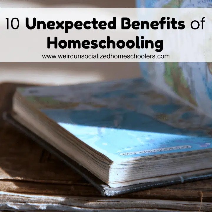 10 Unexpected Benefits of Homeschooling