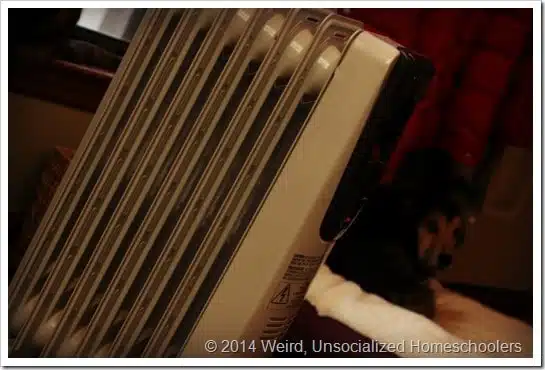 keeping warm keeping warm