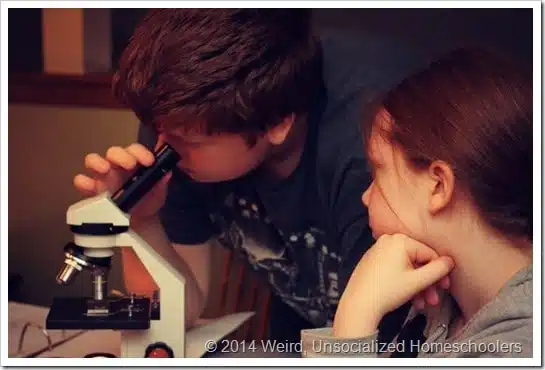 microscope microscope