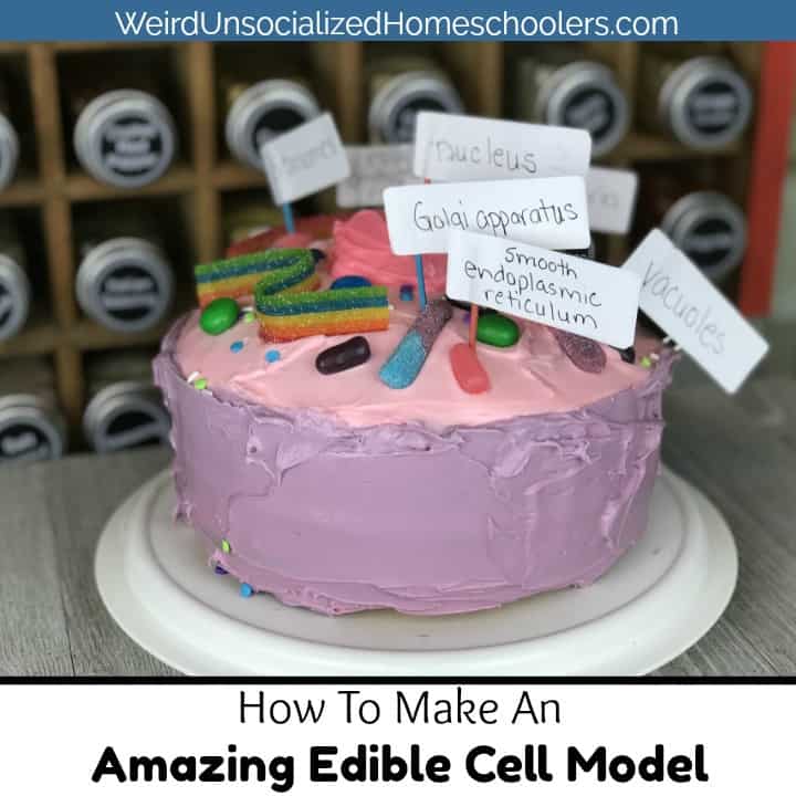 animal cell model project cake