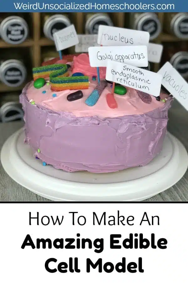 How to Make an Edible Cell Model
