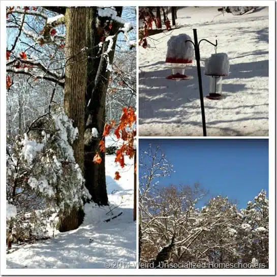 Snow Day Collage Snow Day Collage