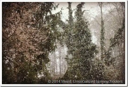 March snow March snow