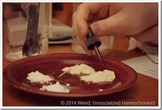 starch test starch test