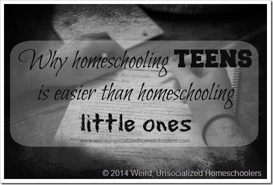 Why Homeschooling Teens Is Easier Than Homeschooling Little Ones