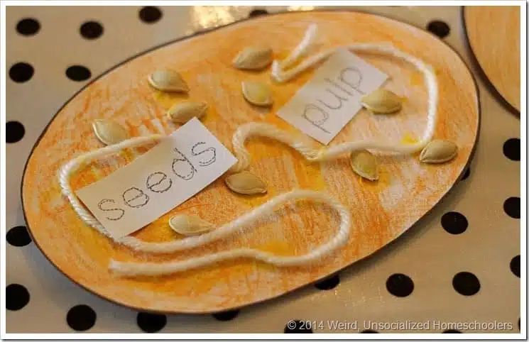 pumpkin parts6 pumpkin parts6