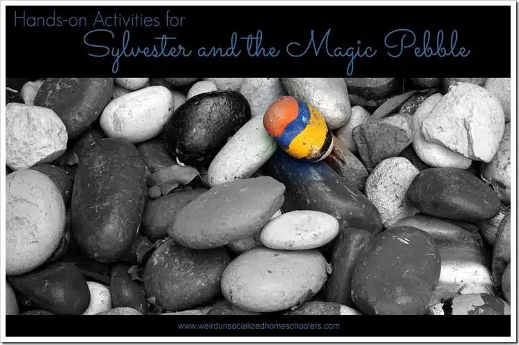 Hands-on Activities for Sylvester and the Magic Pebble Hands-on Activities for Sylvester and the Magic Pebble