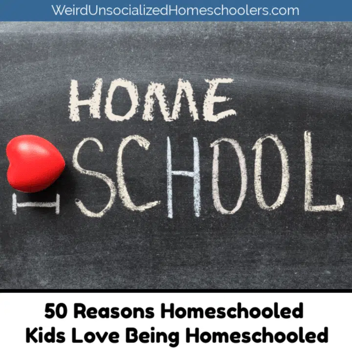 50 Reasons Homeschooled Kids Love Being Homeschooled