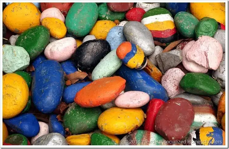 painted rocks painted rocks
