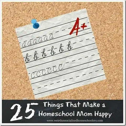 25-Things-That-Make-a-Homeschool-Mom-Happy 25-Things-That-Make-a-Homeschool-Mom-Happy
