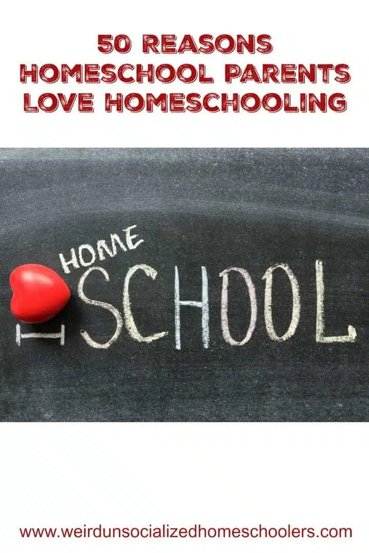 50 Reasons Homeschool Parents Love Homeschooling - Weird