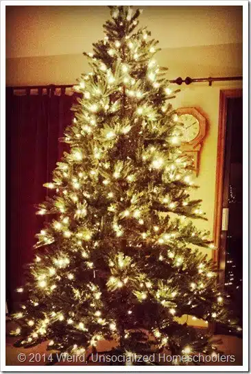Christmas tree Christmas tree