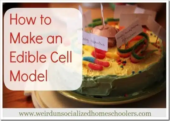How-to-Make-a-Cell-Model-Cake How-to-Make-a-Cell-Model-Cake