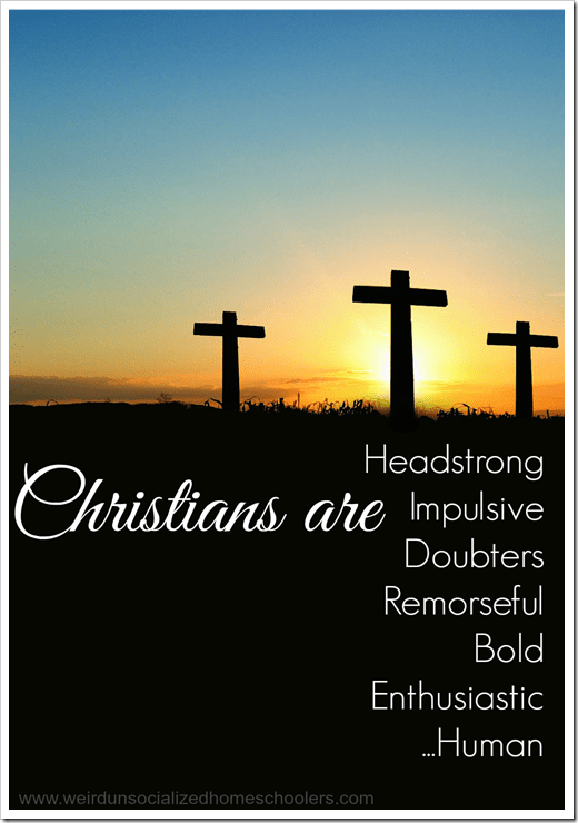 What are Christians really like? Here's one Christian's take. Characteristics of Christians