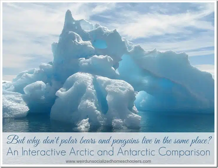 Interactive Arctic and Antarctic Comparison