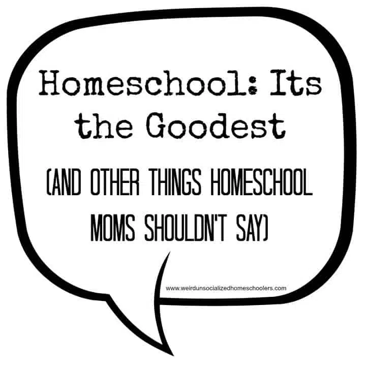 Homeschool: It’s the Goodest (and other things homeschool moms shouldn’t say)