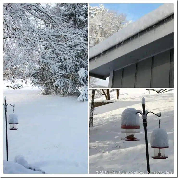 Snow Snow