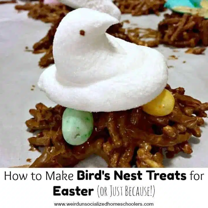 Family Traditions: No-Bake Bird Nest Treats