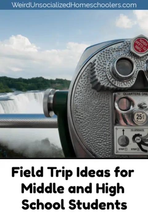 field trip ideas for high school english