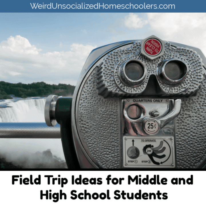 Field Trip Ideas for Middle and High School Students