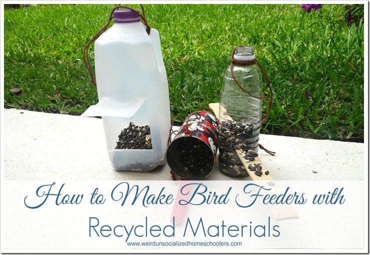 How to Make Bird Feeders with Recycled Materials