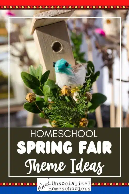 When my kids were younger, our homeschool group used to do a spring fair each year. It was a great cure for spring fever because it gave us all a good excuse to break away from the rut of our day-to-day curriculum. Here is an explanation and some theme ideas!