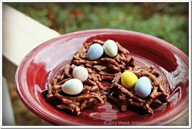 bird nest treats bird nest treats