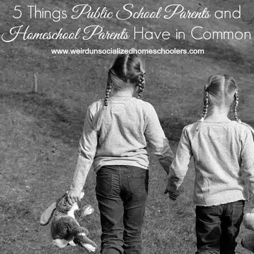 5 Things Public School Parents and Homeschool Parents Have in Common