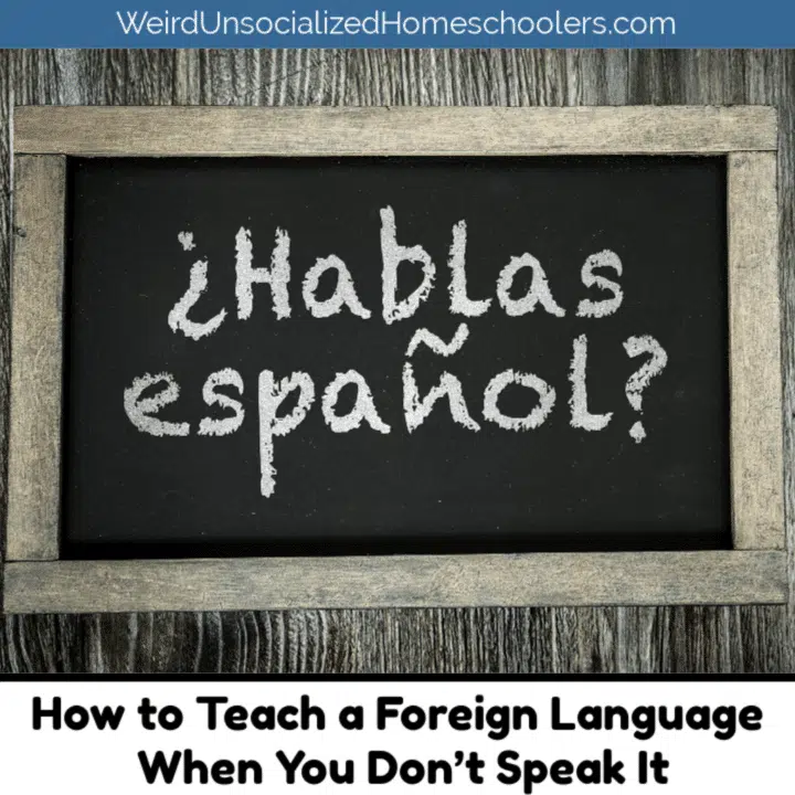 Donde es Huh? How to Teach a Foreign Language When You Don’t Speak It