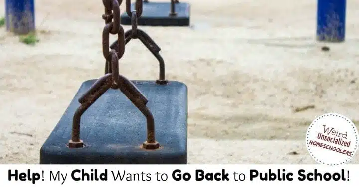 Homeschooled Child Wants to Go to Public School
