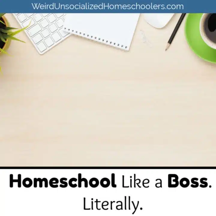 Homeschool Like a Boss. Literally.