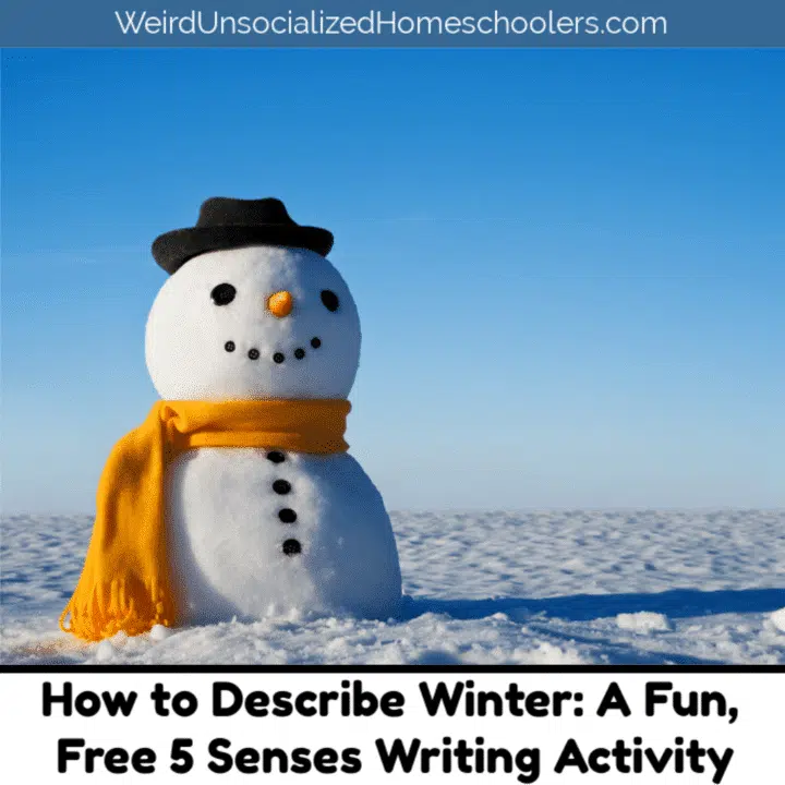 How to Describe Winter: A Fun, Free 5 Senses Writing Activity